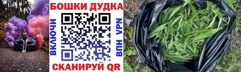 Марихуана OG Kush Сретенск